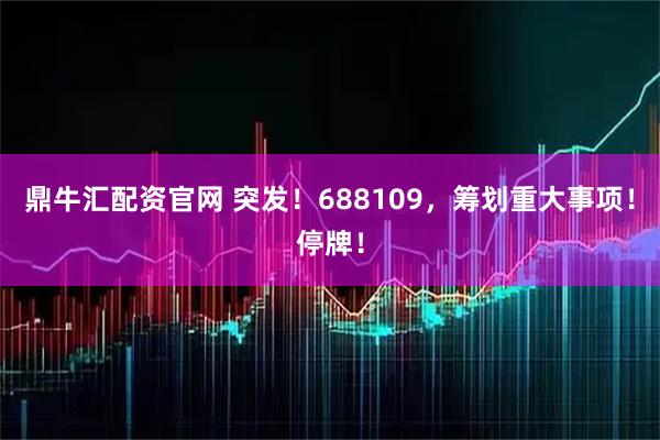 鼎牛汇配资官网 突发！688109，筹划重大事项！停牌！
