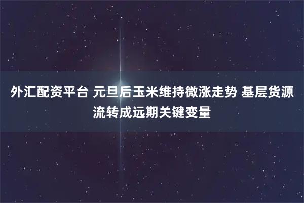外汇配资平台 元旦后玉米维持微涨走势 基层货源流转成远期关键变量