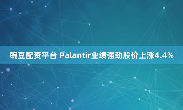 豌豆配资平台 Palantir业绩强劲股价上涨4.4%