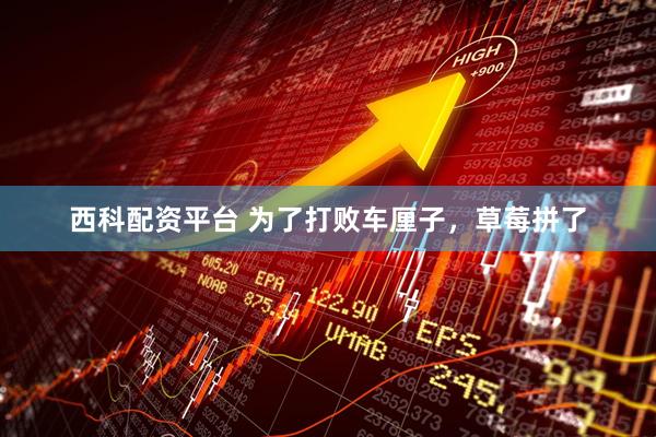 西科配资平台 为了打败车厘子，草莓拼了