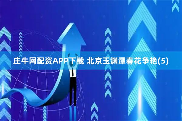 庄牛网配资APP下载 北京玉渊潭春花争艳(5)